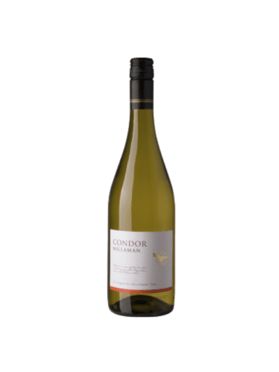 CONDOR MILLAMAN CHARDONNAY