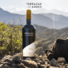TERRAZAS DE LOS ANDES RESERVA MALBEC 2023