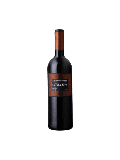 ARZUAGA RIBERA DEL DUERO – LA PLANTA