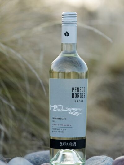 PENEDO BORGES CEPAS SAUVIGNON BLANC