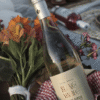 PENEDO BORGES BLANC DE MALBEC