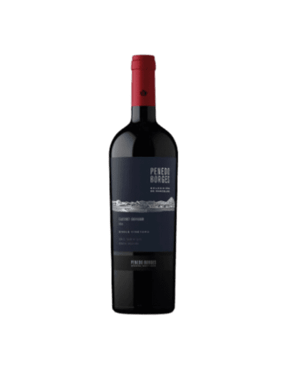 PENEDO BORGES SELECCIÓN DE PARCELAS CABERNET SAUVIGNON