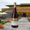 MONTES LIMITED EDITION PINOT NOIR