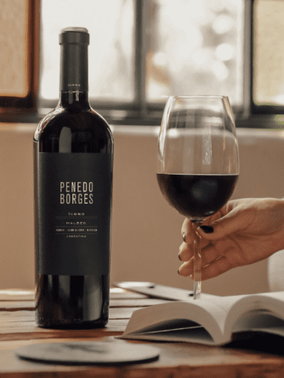 PENEDO BORGES ICONO MALBEC