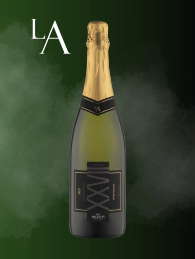 ESPUMANTE LUIZ ARGENTA TERROIR XXVII BRUT