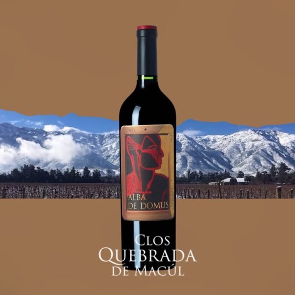 CLOS QUEBRADA DE MACUL ALBA DE DOMUS
