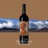 CLOS QUEBRADA DE MACUL DOMUS AUREA