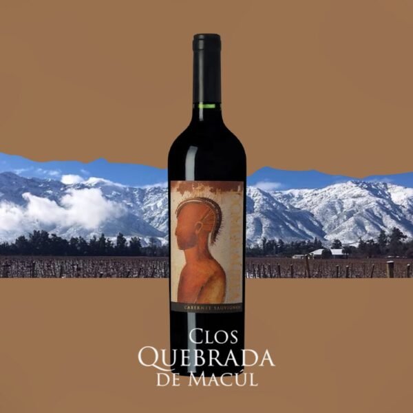 CLOS QUEBRADA DE MACUL DOMUS AUREA