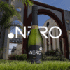 PONTO NERO CULT NATURE