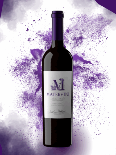 MATERVINI ANTES ANDES VIÑA CANOTA