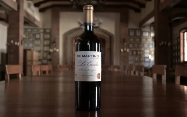 DE MARTINO  SINGLE VINEYARD LA CANCHA