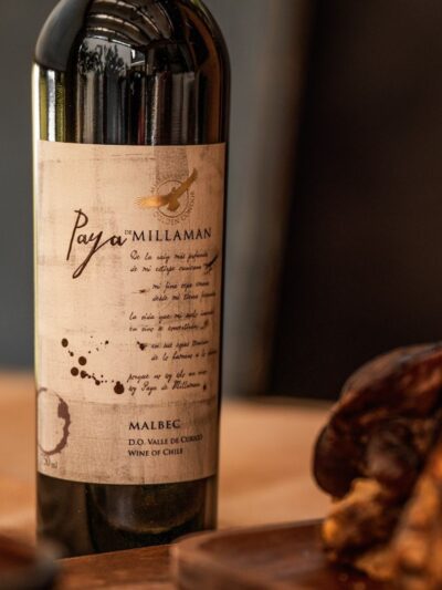 PAYA DE MILLAMAN MALBEC 2019