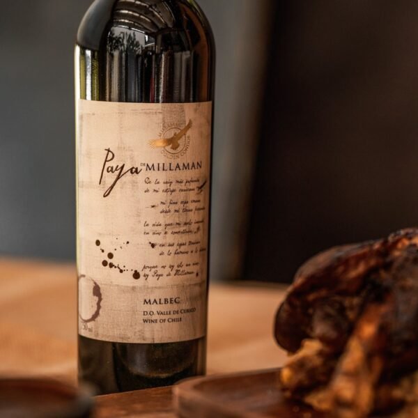 PAYA DE MILLAMAN MALBEC 2019