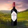 ACHAVAL FERRER MALBEC 2023