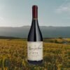 MIOLO QUINTA DO SEIVAL CASTAS PORTUGUÊSAS 2022