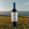 MIOLO VINHAS VELHAS TANNAT 2022