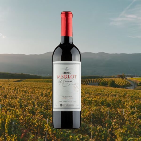 MIOLO MERLOT TERROIR 2022